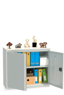 Шкаф архивный ALR 8810 Шкаф архивный ALR 8810